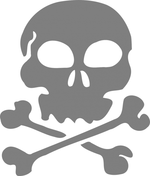 skull bones pirate