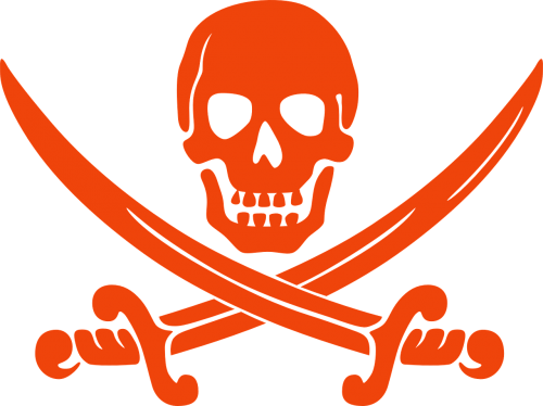 skull pirate bone