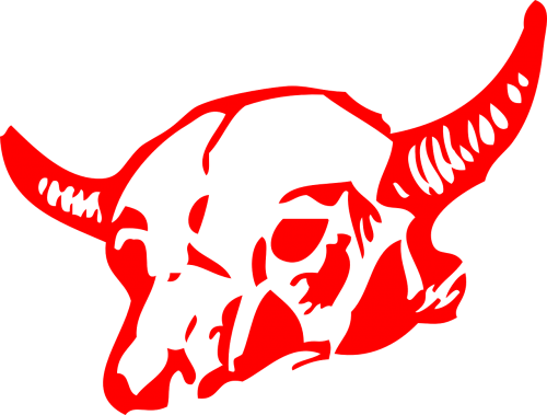 skull bull cow