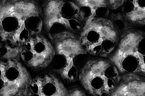 skull skull and crossbones skeleton