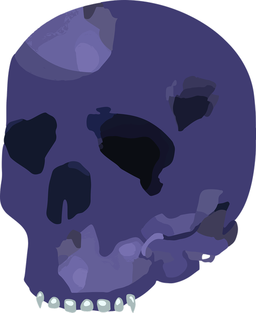 skull  design  abstract