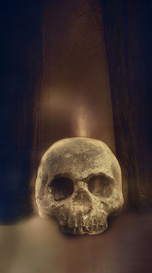 skull  skeleton  horror