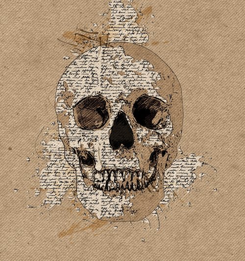skull  sketch  writing