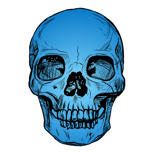 skull  blue  skeleton