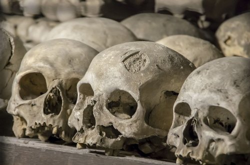 skull  cemetery  trauma