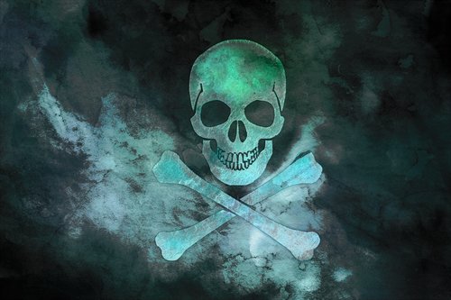 skull  crossbones  pirate