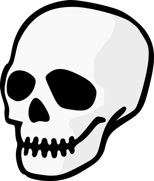 skull head dead