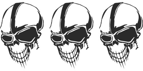 skull  skeleton  head