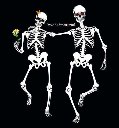skull  skeleton  bone