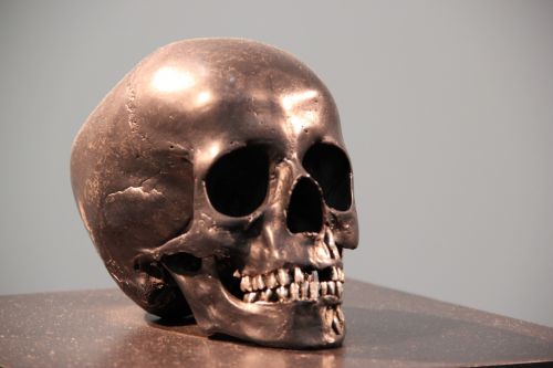 skull bronze head