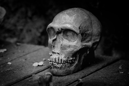 skull death black white