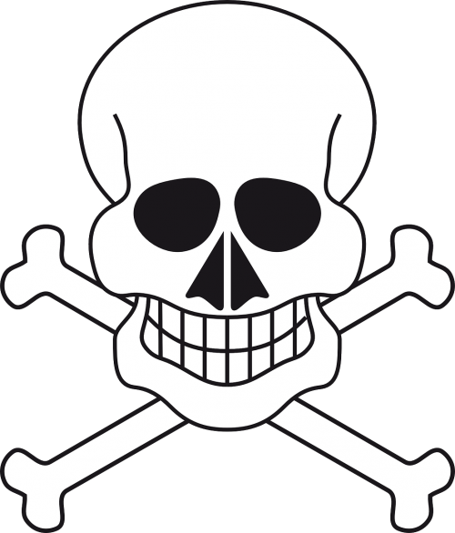 skull skeleton pirate