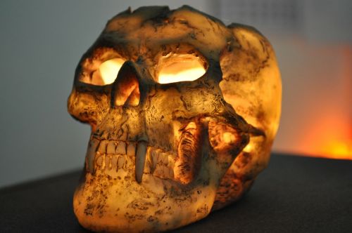skull and crossbones candle windlight
