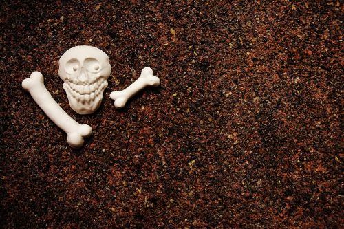 skull and crossbones bone gypsum