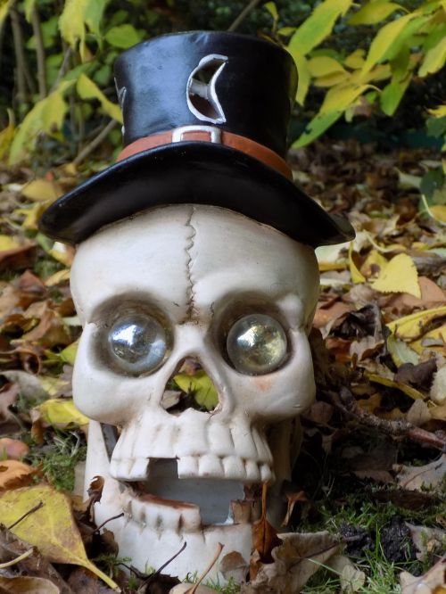 skull and crossbones halloween creepy