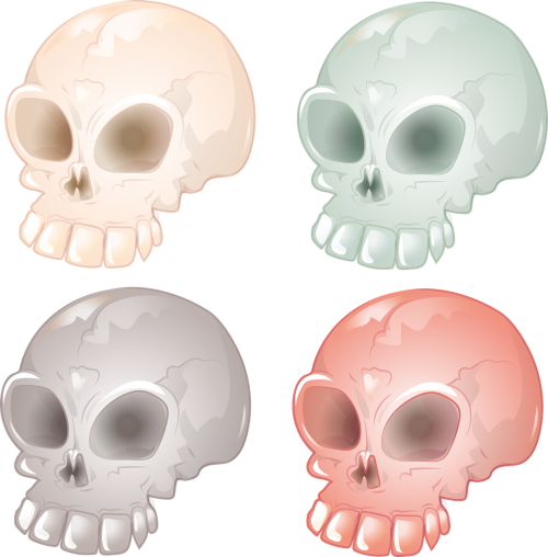 skull and crossbones skull bone