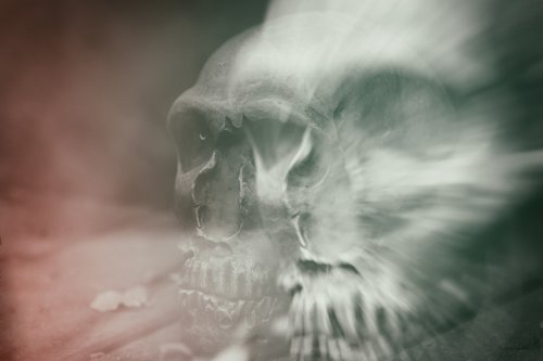 skull and crossbones  double exposure  death