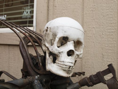 skull and crossbones motorcycle skeleton