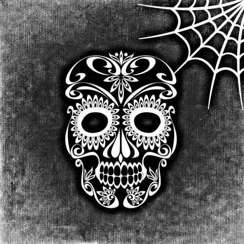 skull and crossbones cobweb background