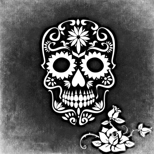 skull and crossbones rose background