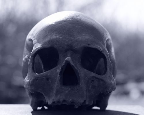skull and crossbones skull human