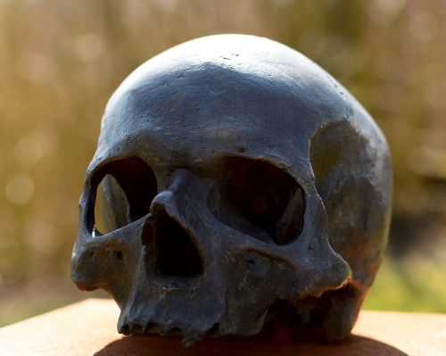 skull and crossbones skull human