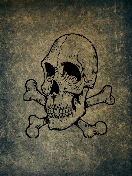 skull and crossbones weird skull