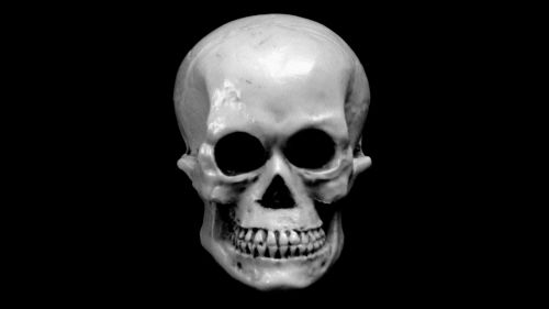 Skull - Screen Halftone Image