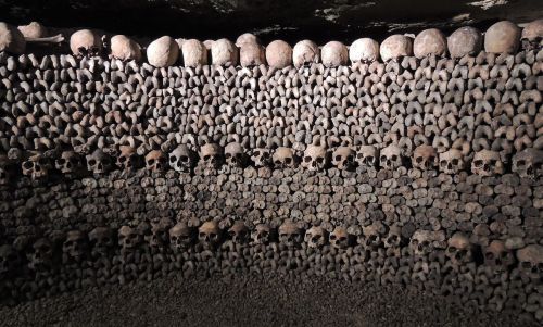 skulls catacombs paris