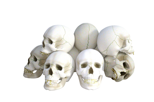 skulls horror death