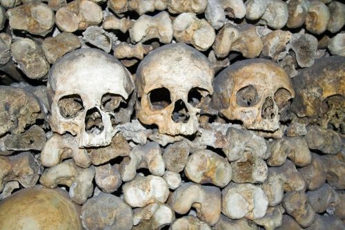 skulls death bone