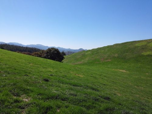 field nature landscape