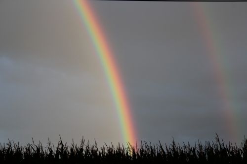 sky storm rain