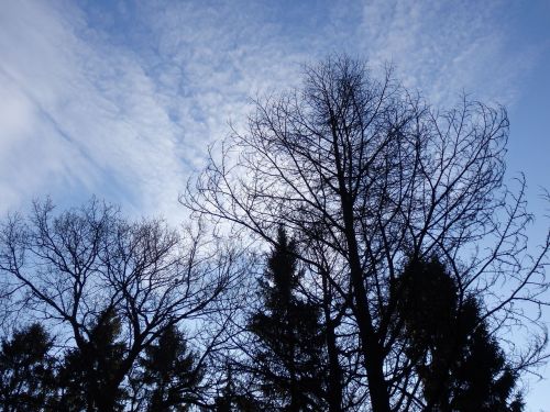 sky winter winter landscape