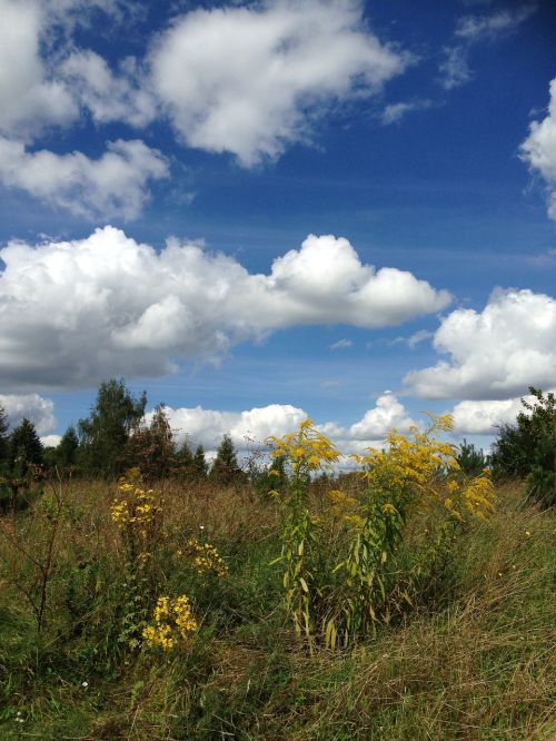 sky blue clouds