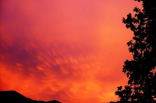 sky forward clouds