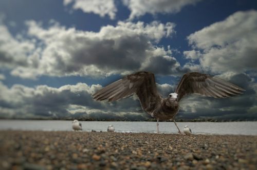 sky cloud wind