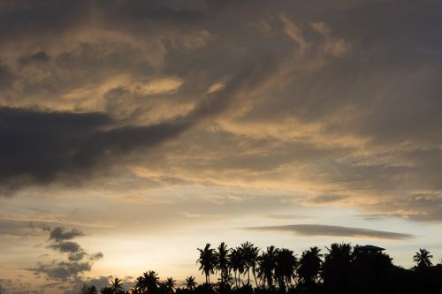 sky sunset palmtree