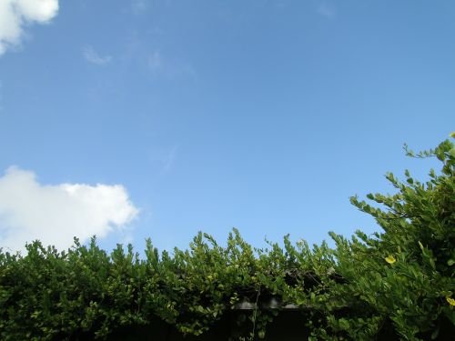 sky blue clouds