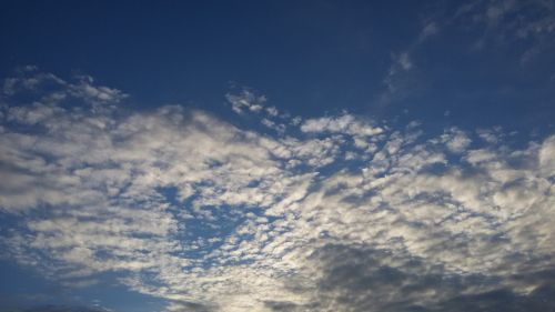 sky clouds cotton