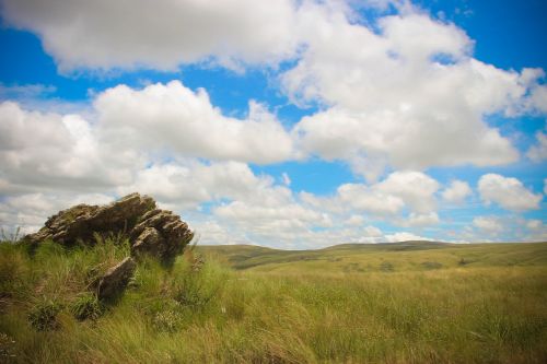 sky grass blue