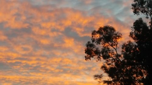 sky cloud sunset