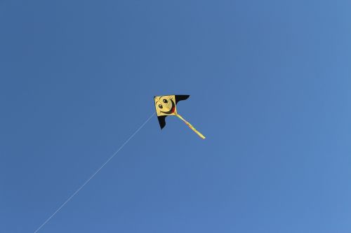 sky kite flying dragon