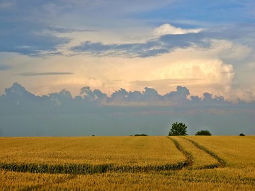 sky clouds landscape sunset