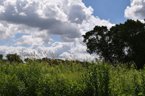 sky clouds nature