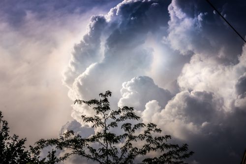 sky clouds trees