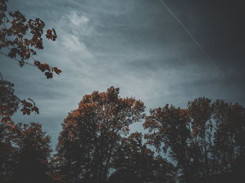 sky clouds trees