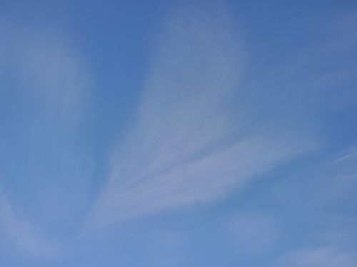 sky cirrus cloud