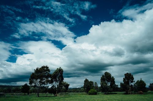 sky clouds trees