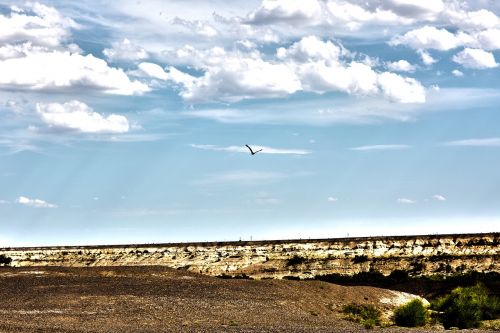 sky cloud eagle